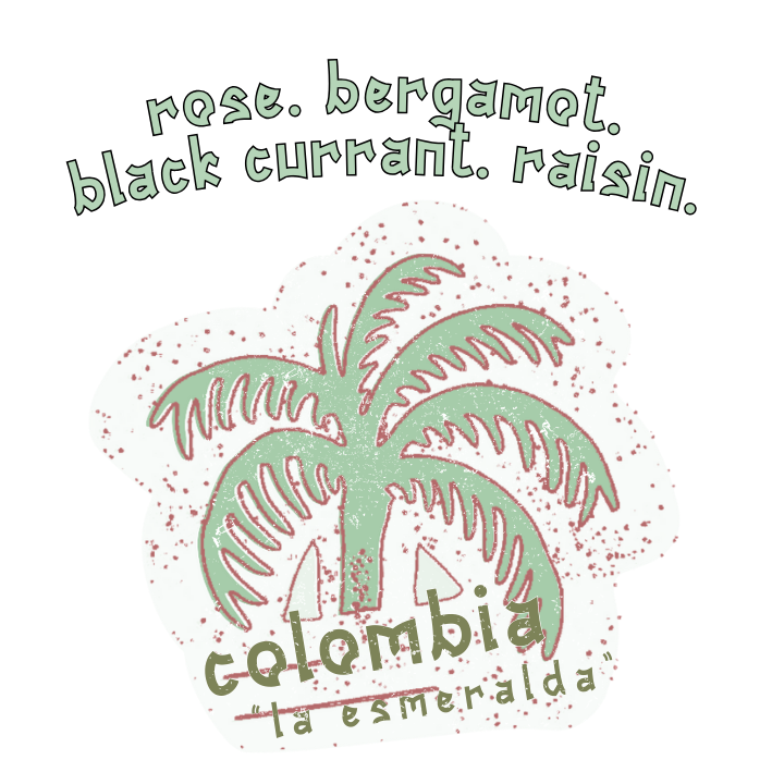 colombia "la esmeralda" - standouts